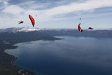 Icarus XFire - SkydiveShop.com