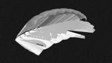 JYRO Kraken ZP Skydiving Canopy - Kraken ZP